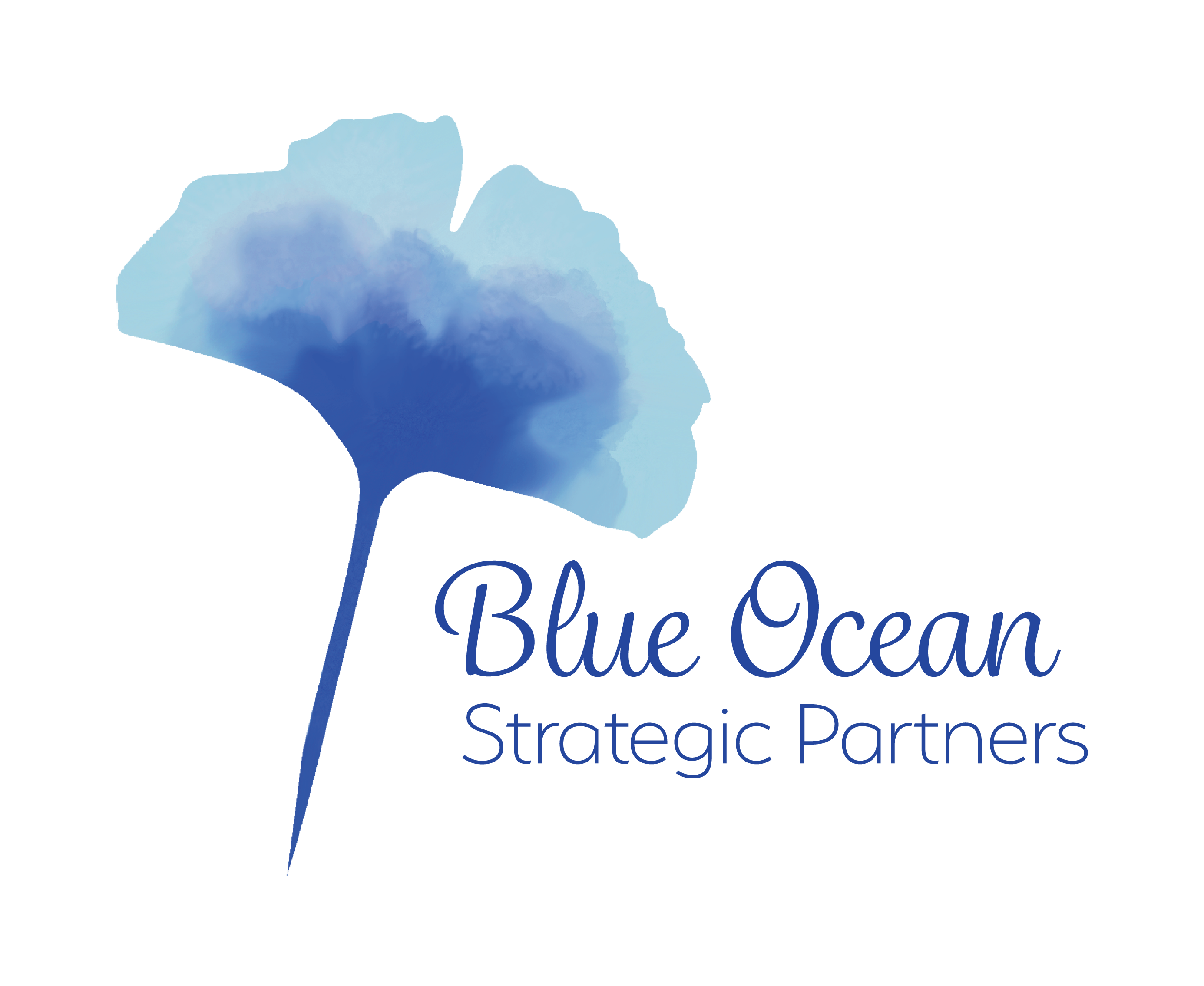 BlueOcean Strategic Partners